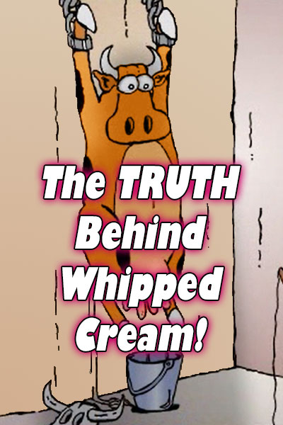 The Truth Behind Whipped Cream