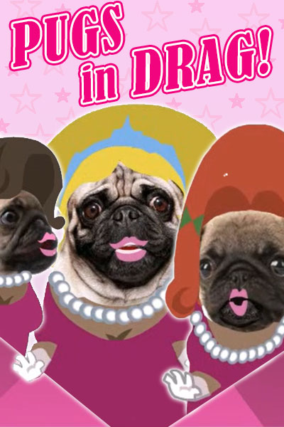 Pugs in Drag Birthday