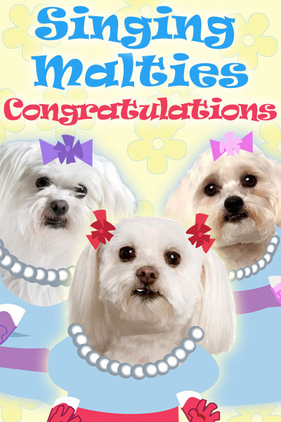 Singing Malties Congratulations